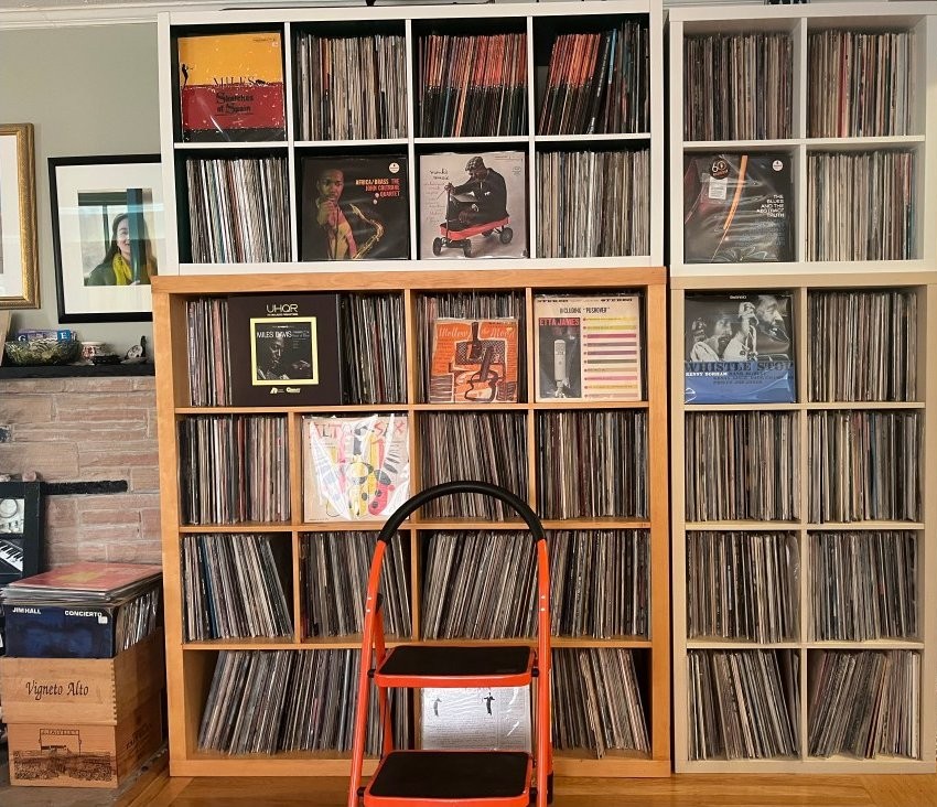 Reid Yalom Vinyl Wall