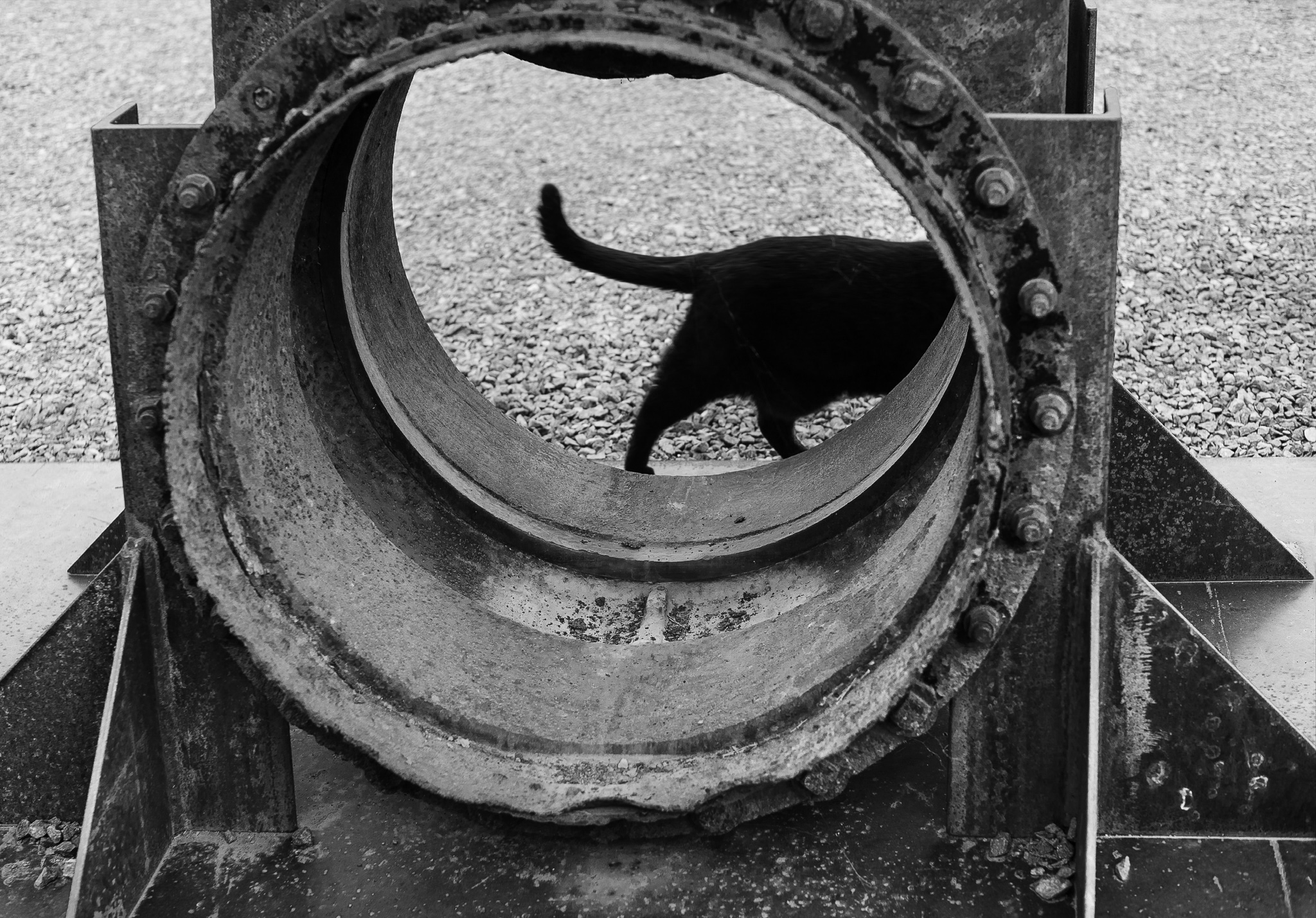 Cat Construct