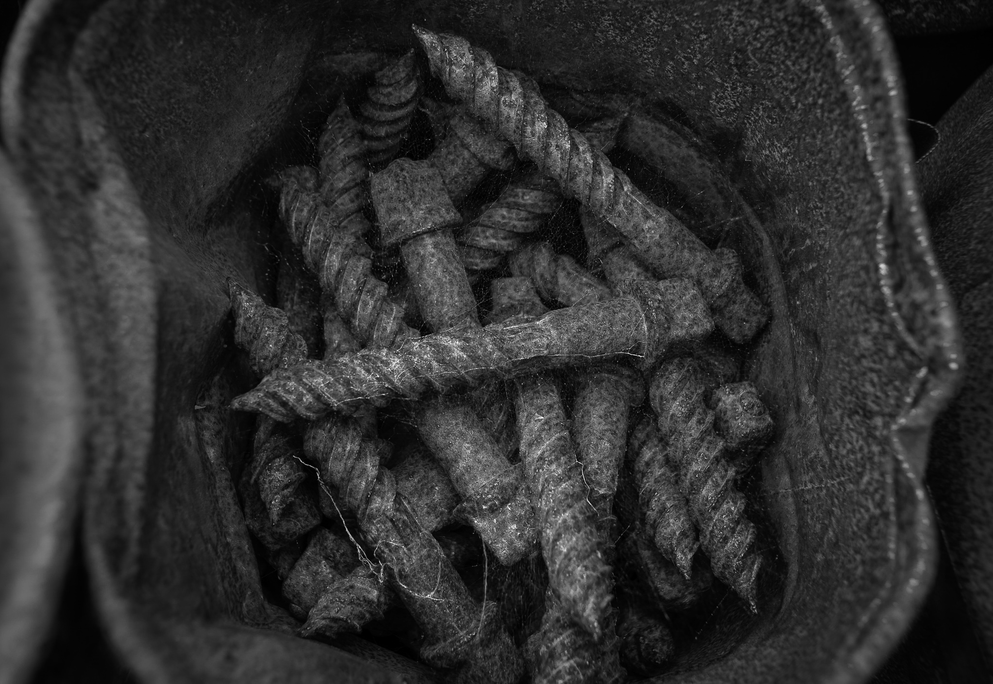 Screws in Bucket