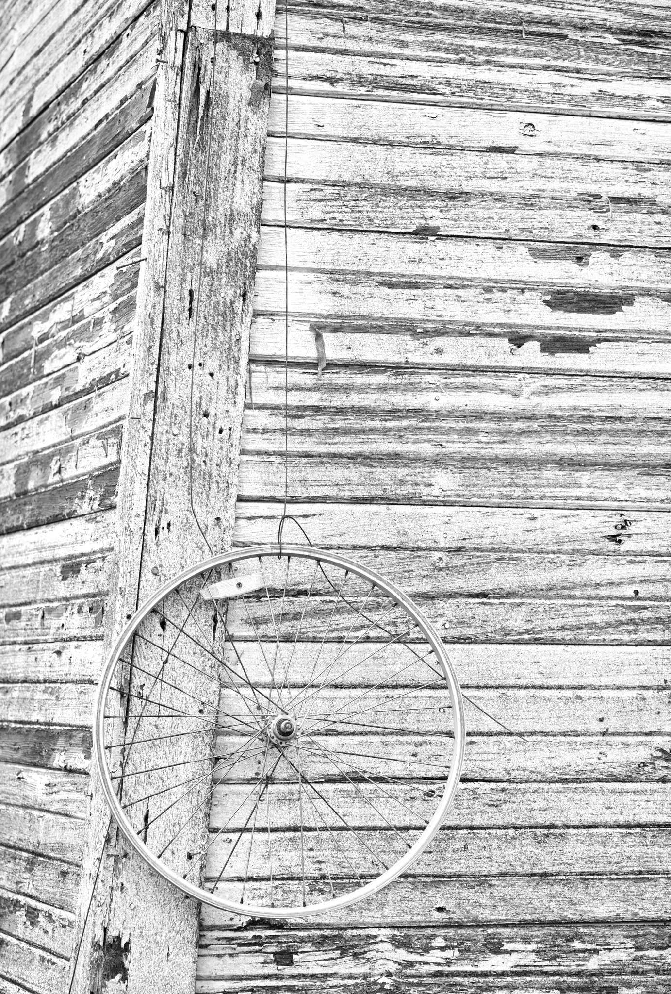 The Wheel