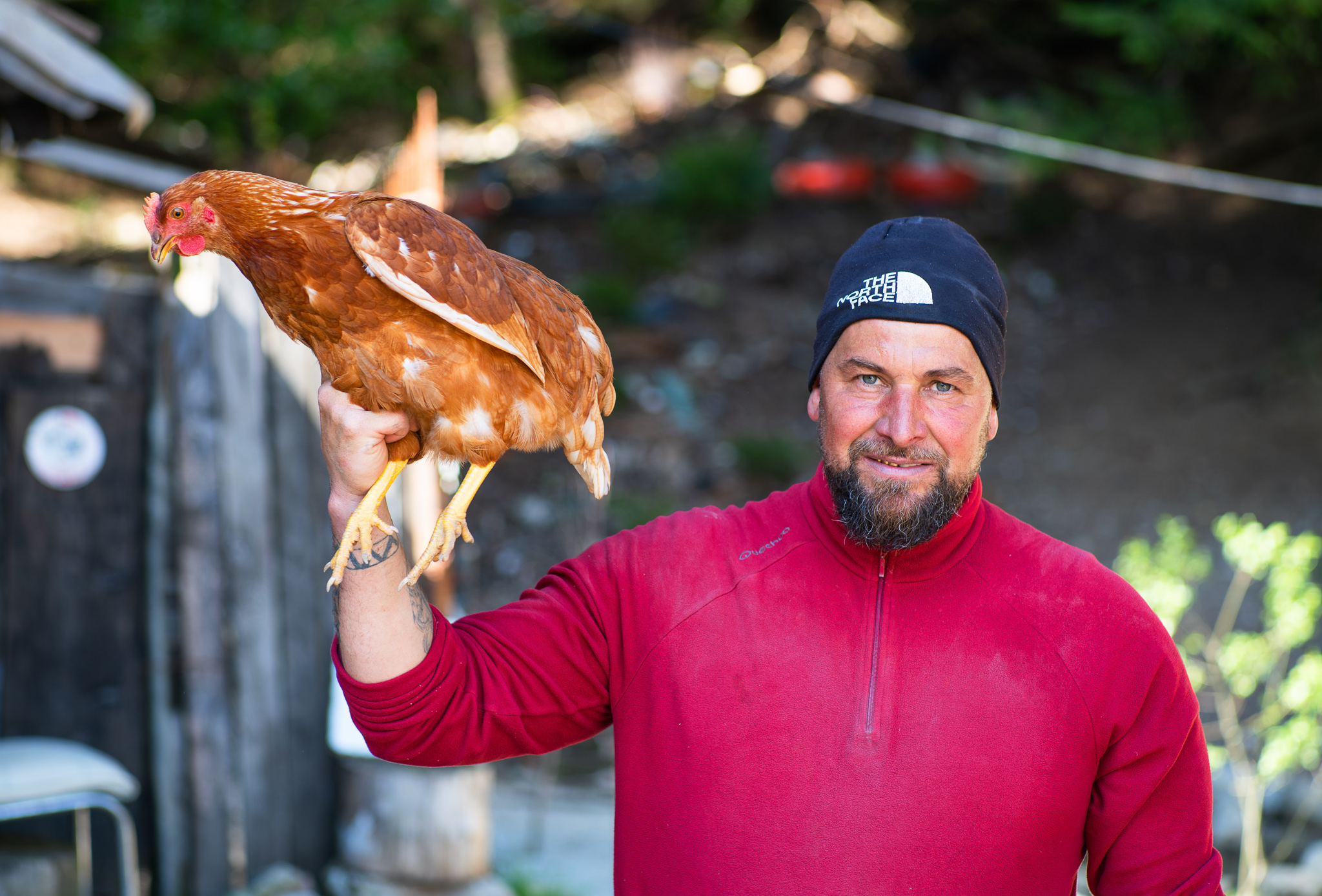 Man and His Chicken