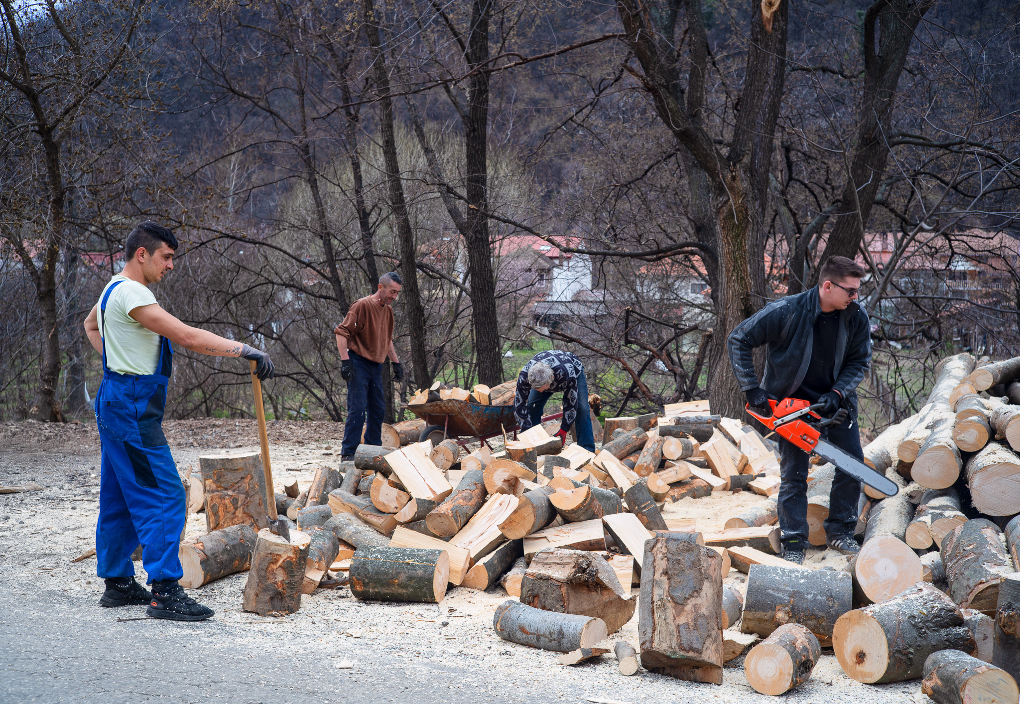 Hercules Woodcutters