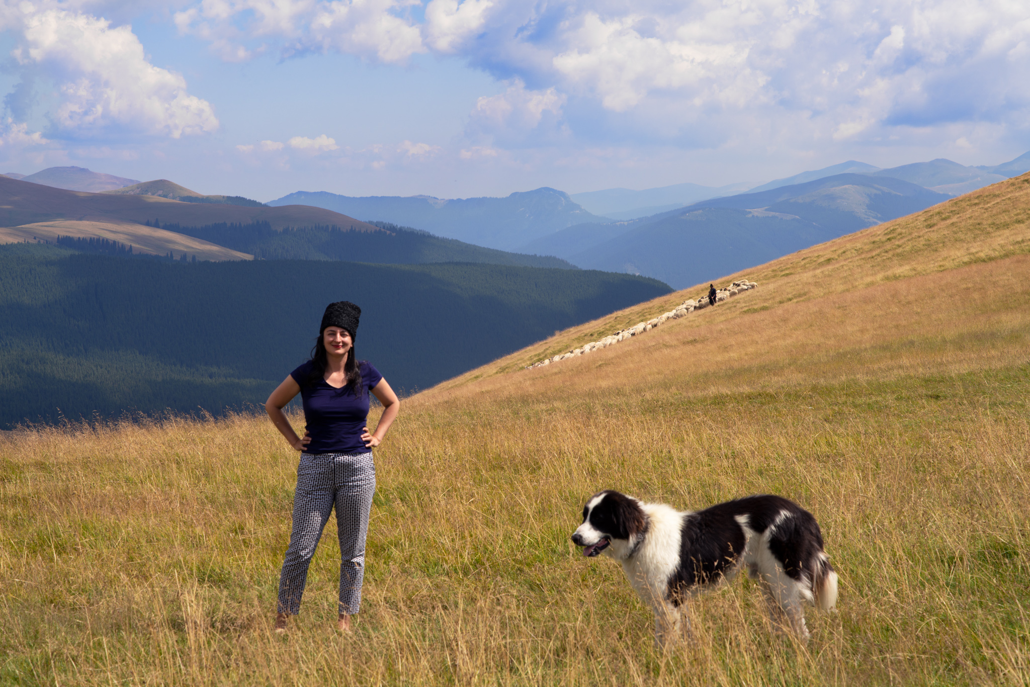 Lore and Sheep