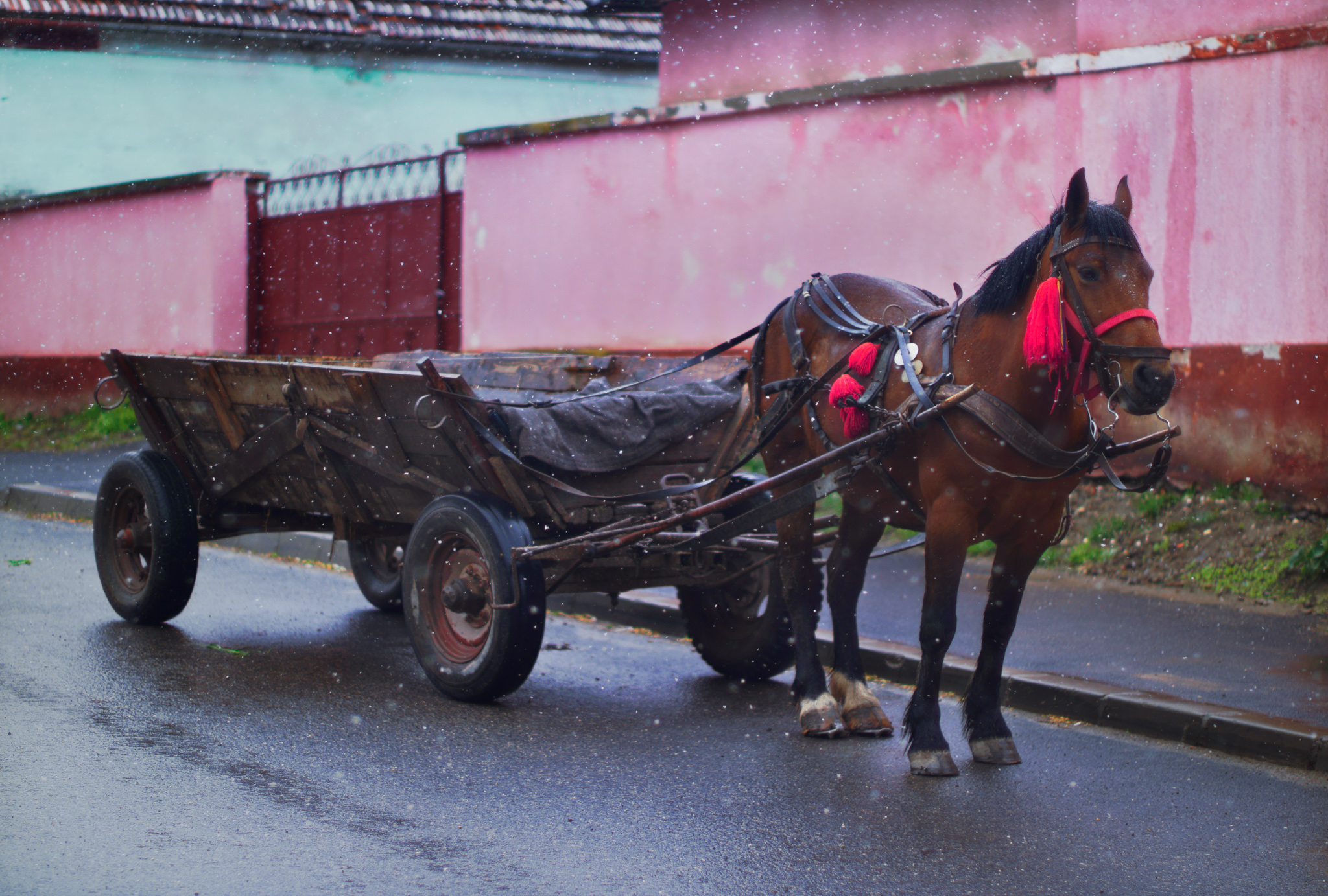 Manea Horse and Cart