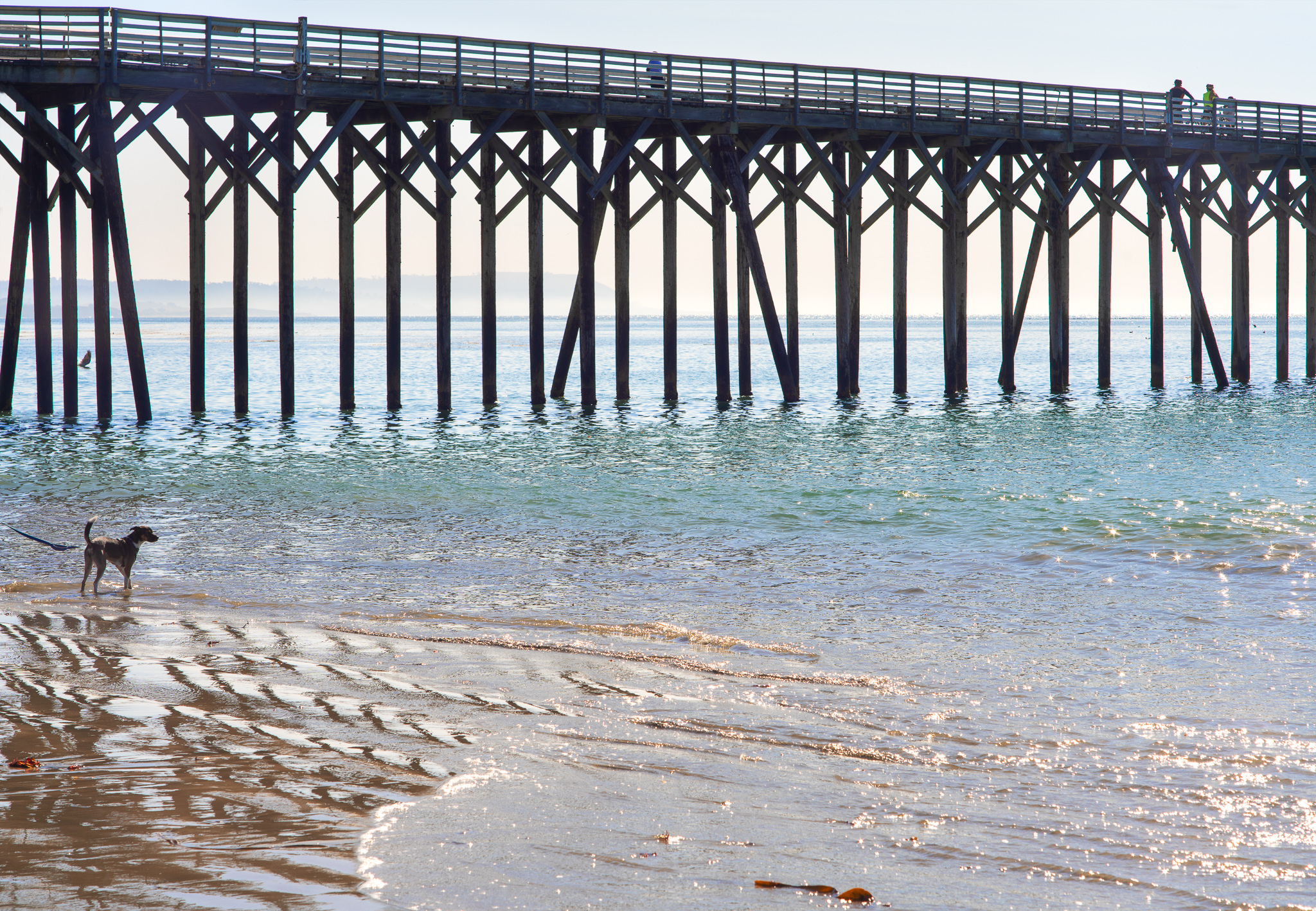 San Simeon Pier