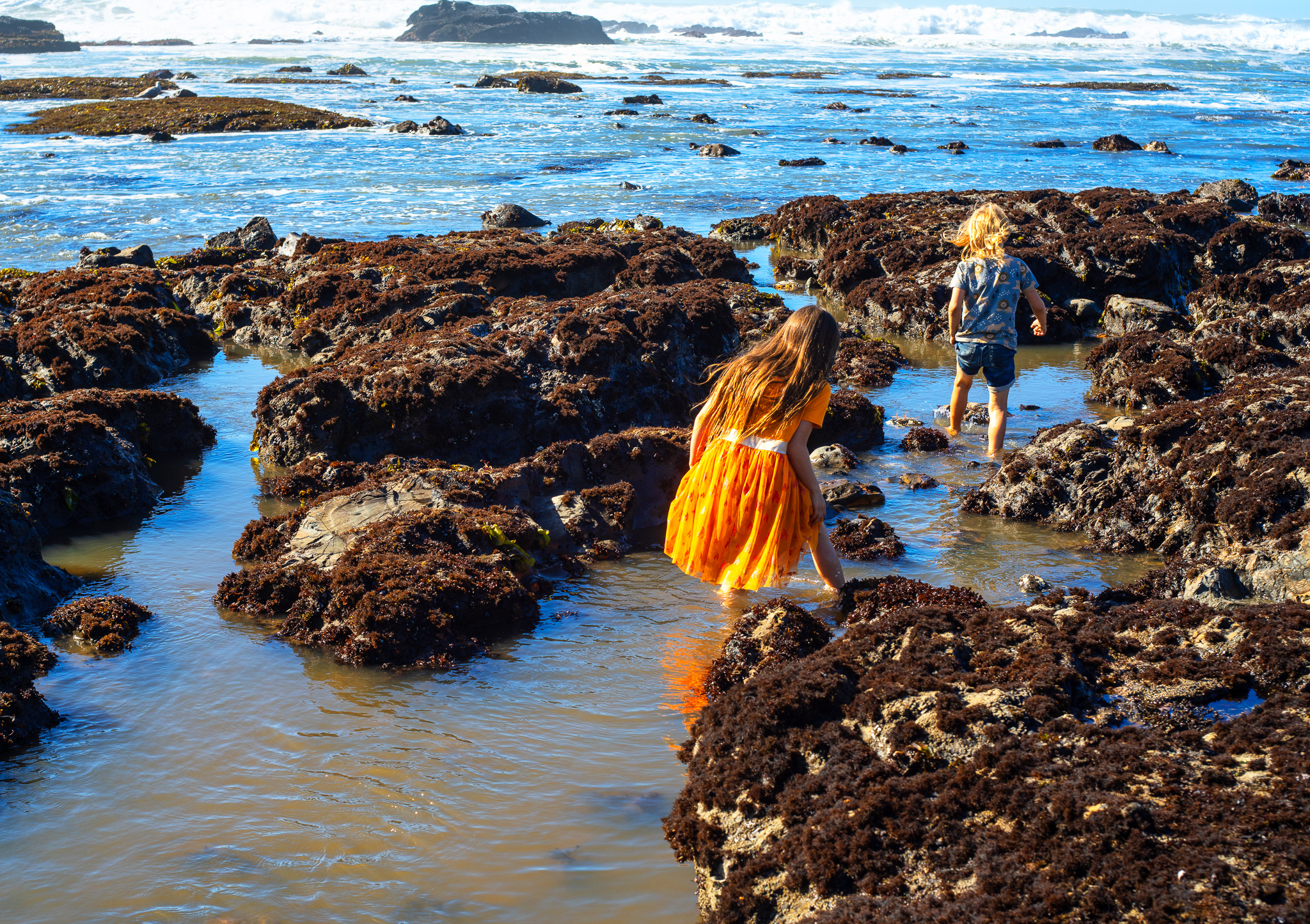Tide Pooling