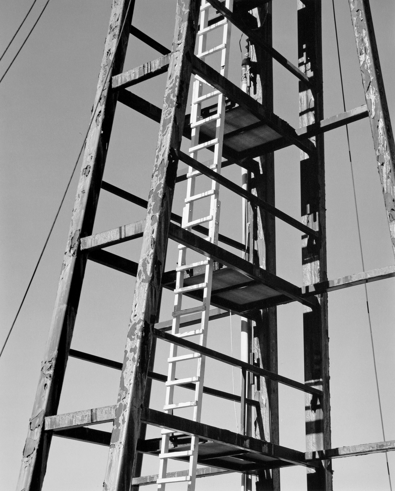 White Ladder