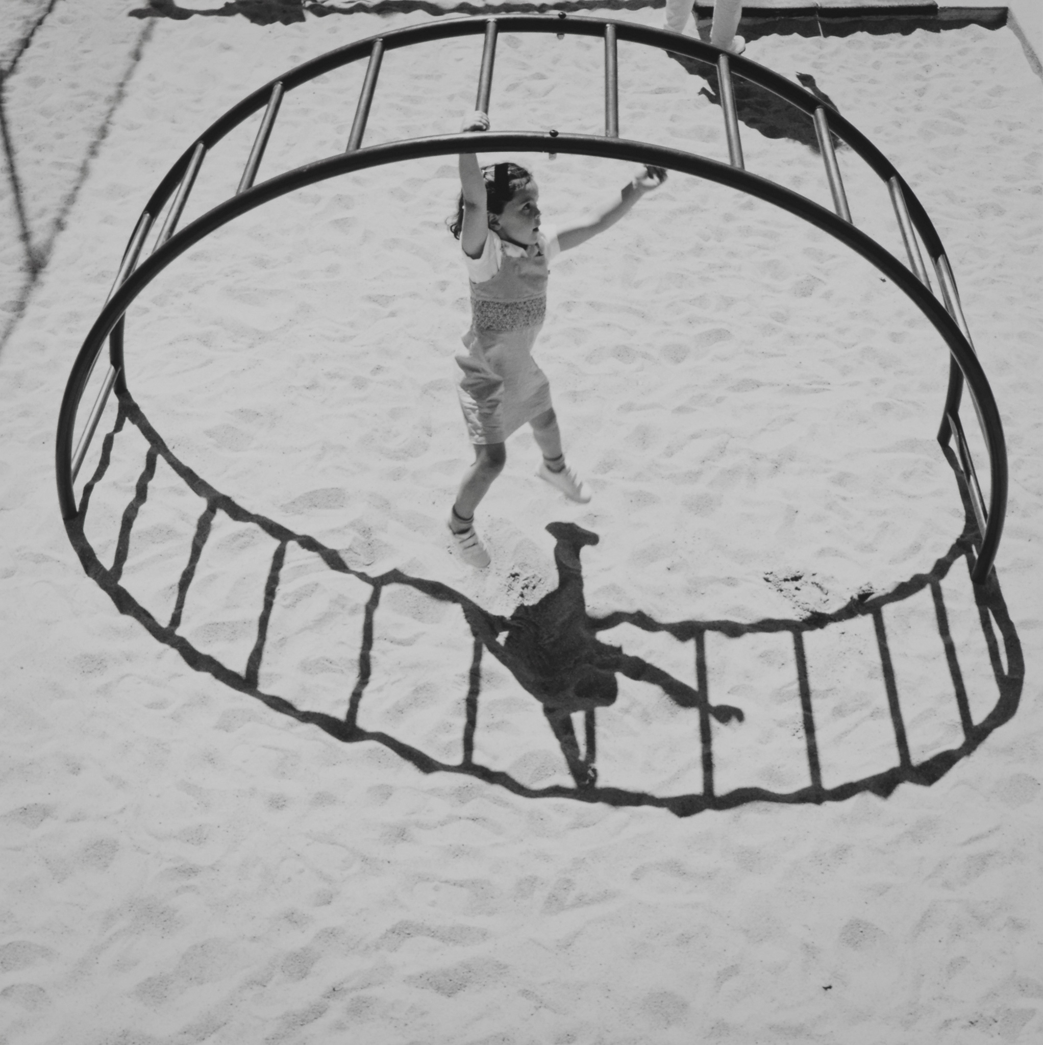 Jungle Gym