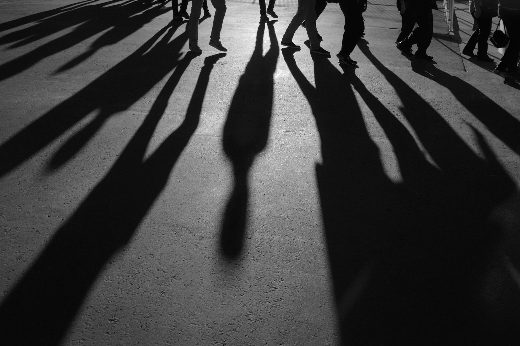 Shadow Prints — Racetrack Shadow