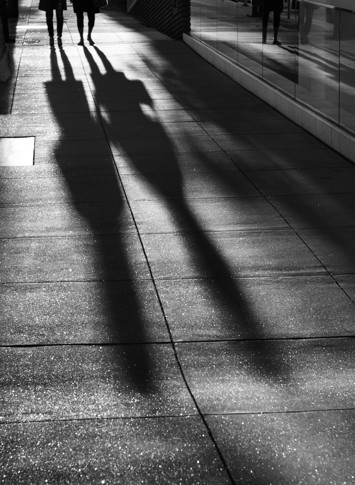 Shadow Sisters