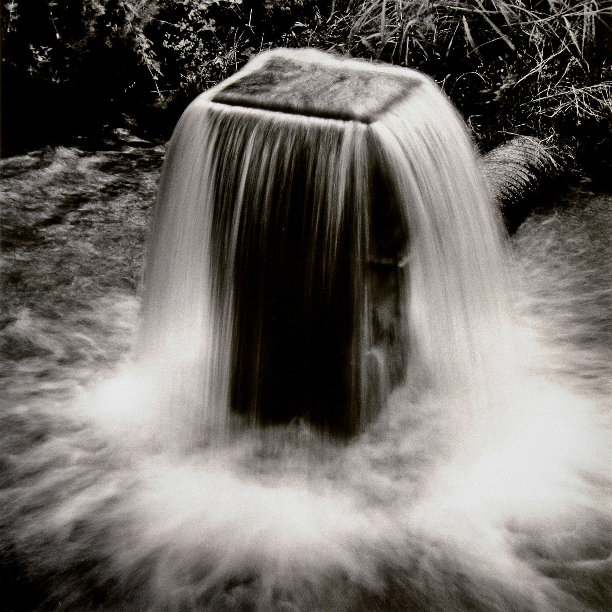 Split-Toned 20 x 24 Prints — Box of Rain