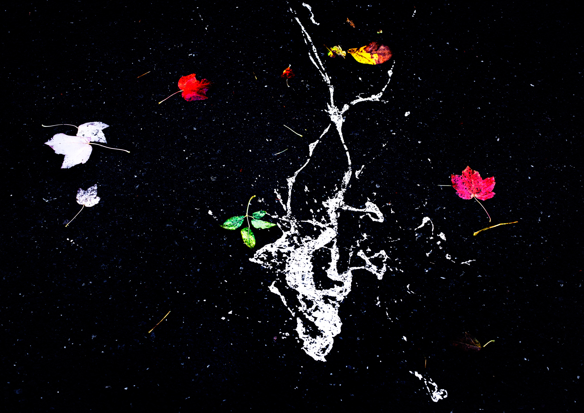 Walking Paint