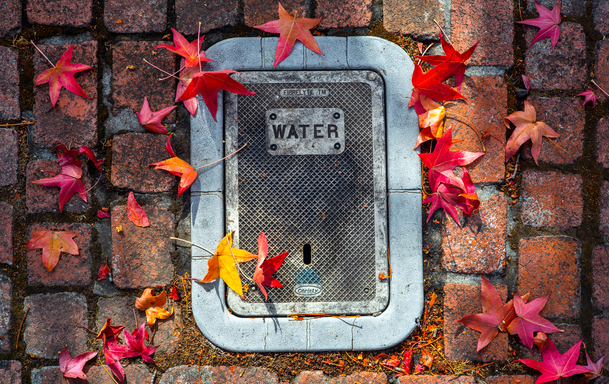 Water