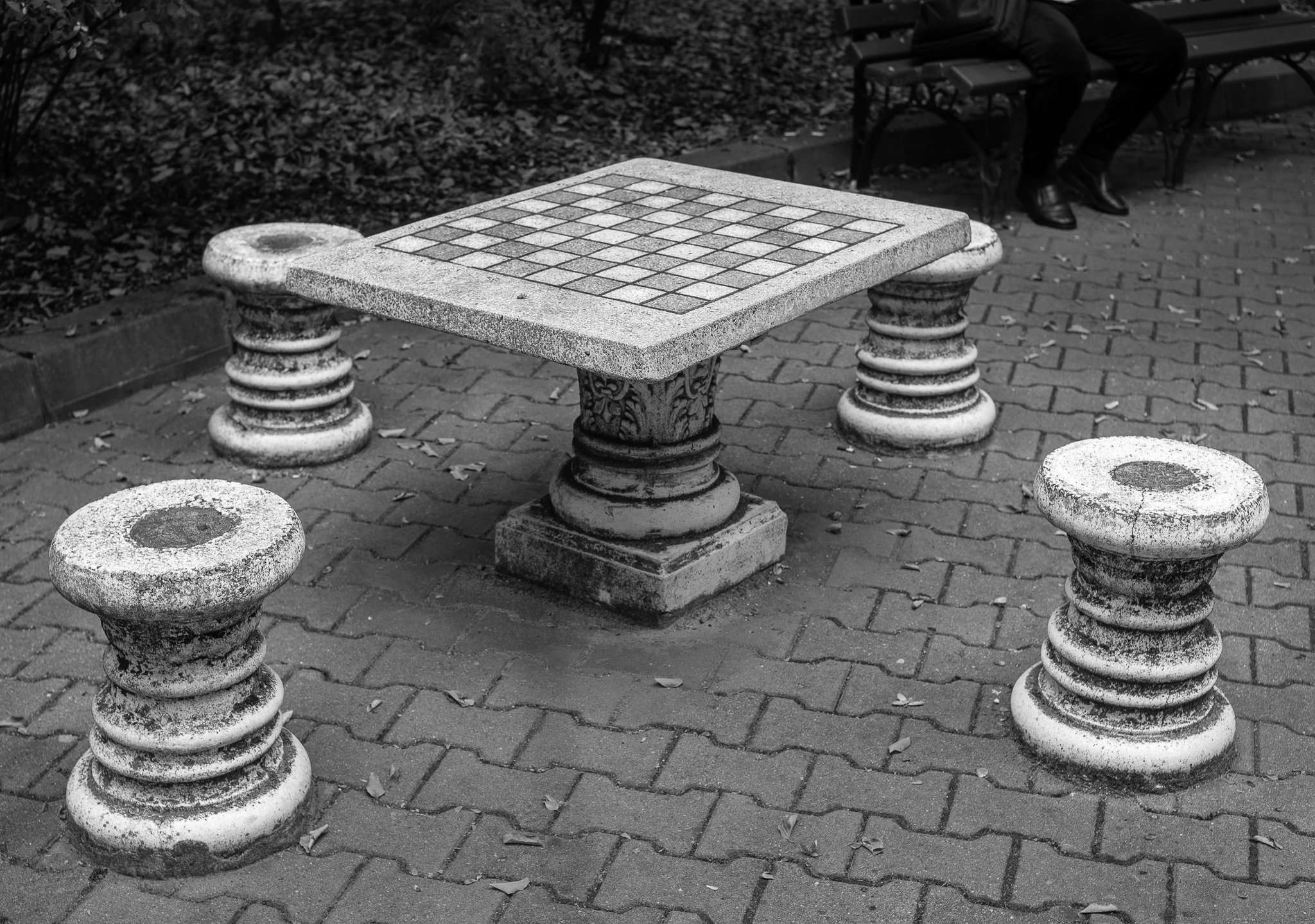 The Chess Board — The Bishop is Often Fianchettoed in the Corner
