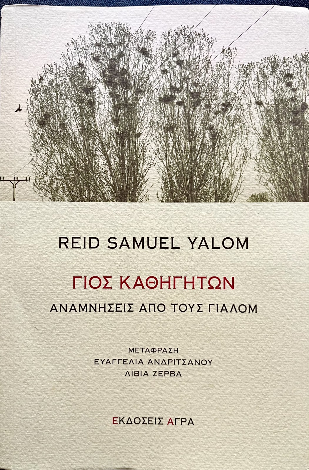 The Professors’ Son — Greek edition cover