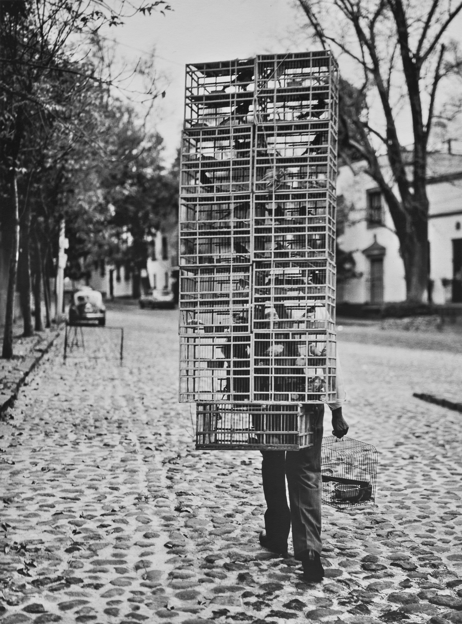 Bird Seller, Mexico DF